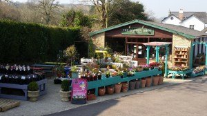 The Garden Shop