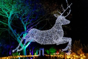 Nutley Farm Chrismtas Event