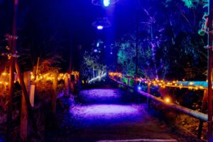 Nutley Farm Chrismtas Event