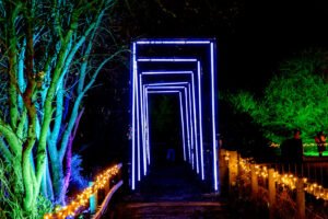Nutley Farm Chrismtas Event