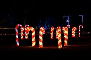 Nutley Farm Chrismtas Event