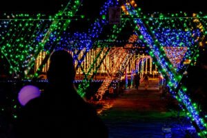 Nutley Farm Chrismtas Event